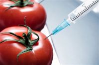 За продуктами с содержанием ГМО в России начнут следить пристальнее